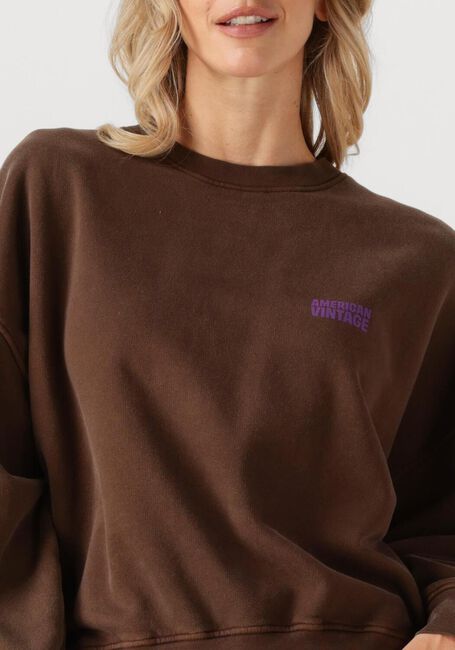 Bruine AMERICAN VINTAGE Trui PLIZZY - large