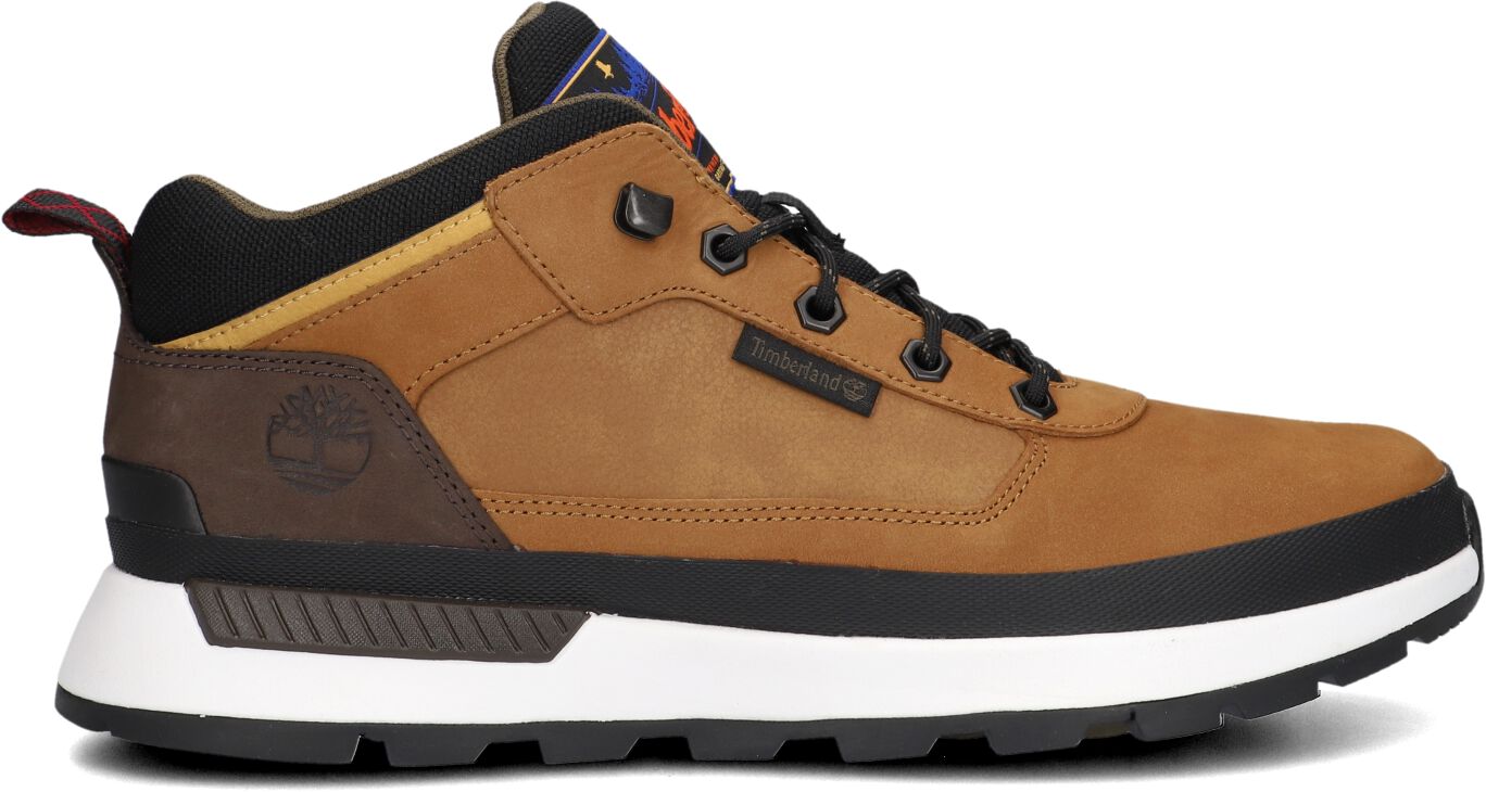 Timberland,  Field Trekker Low Lace Up