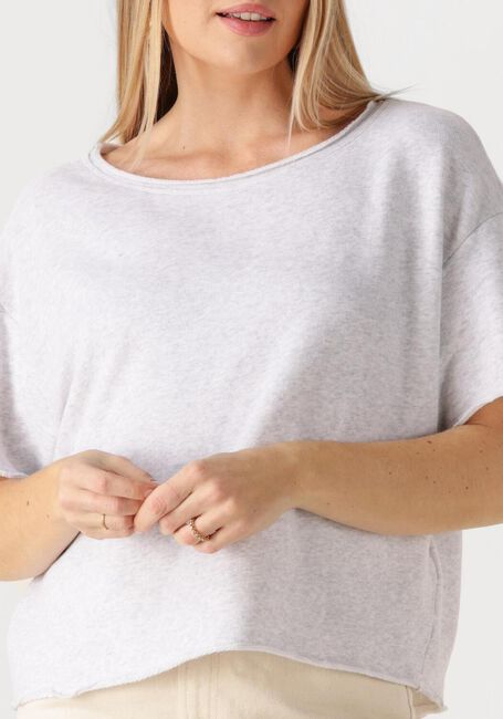 Lichtgrijze AMERICAN VINTAGE Top ATUBAY - large