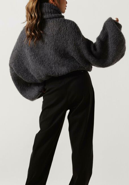 Grijze AMERICAN DREAMS Coltrui PEPPER ROLL NECK CROPPED - large