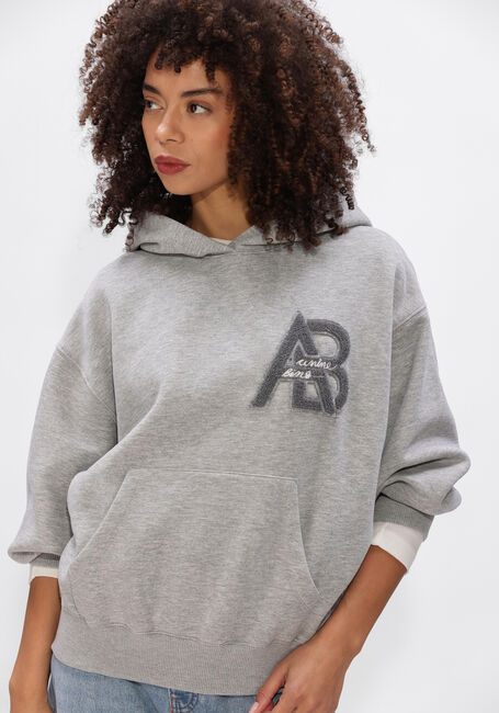 Grijze ANINE BING Truien/vesten JACI HOODIE LETTERMAN - large