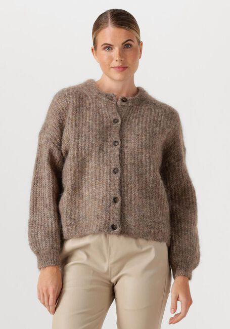 Taupe DES PETITS HAUTS Trui ALMA - large