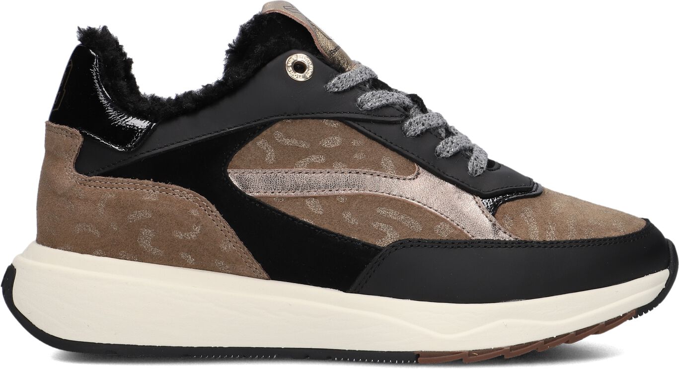 Floris van Bommel,  Sfm-10138 Suvi