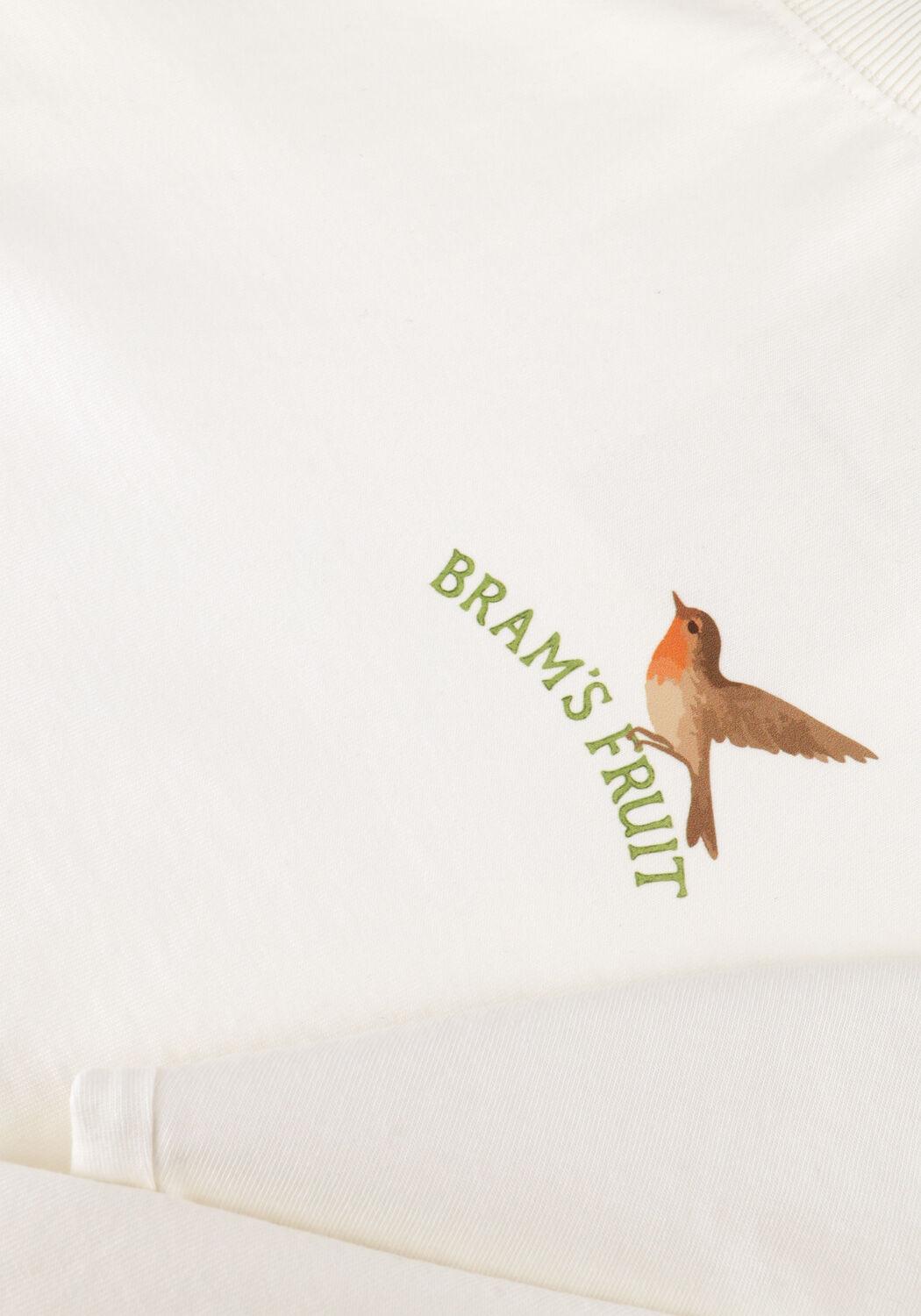 Creme BRAM'S FRUIT T-shirt ROBIN LONGSLEEVE - large