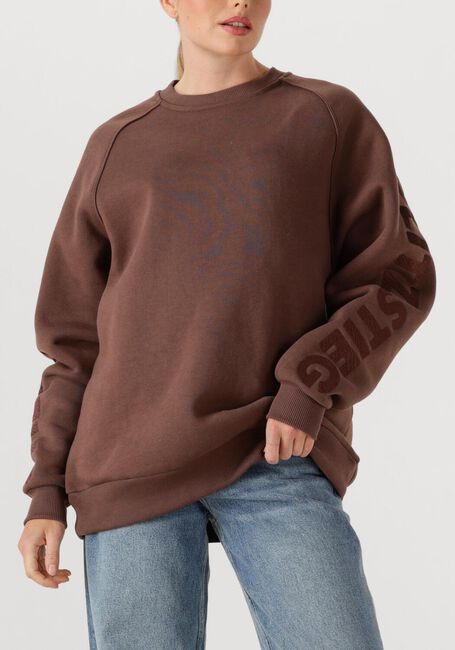 Bruine STIEGLITZ Sweater ROMINA SWEATER - large