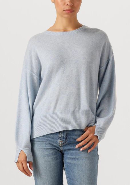 Blauwe ABSOLUT CASHMERE Truien/vesten CATERINA - large