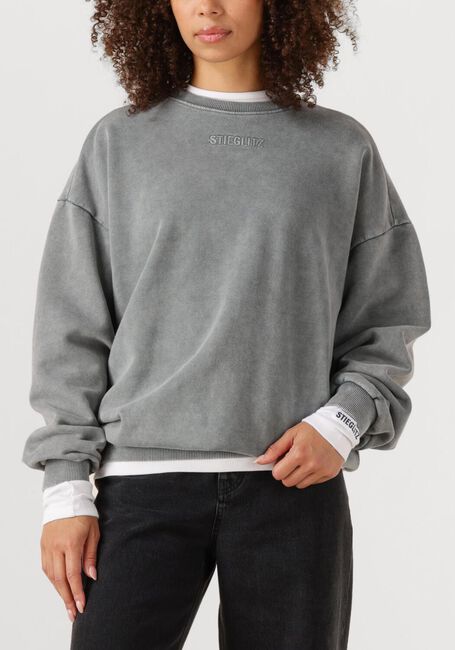 Grijze STIEGLITZ Sweater BASIC WORN OUT SWEATER - large