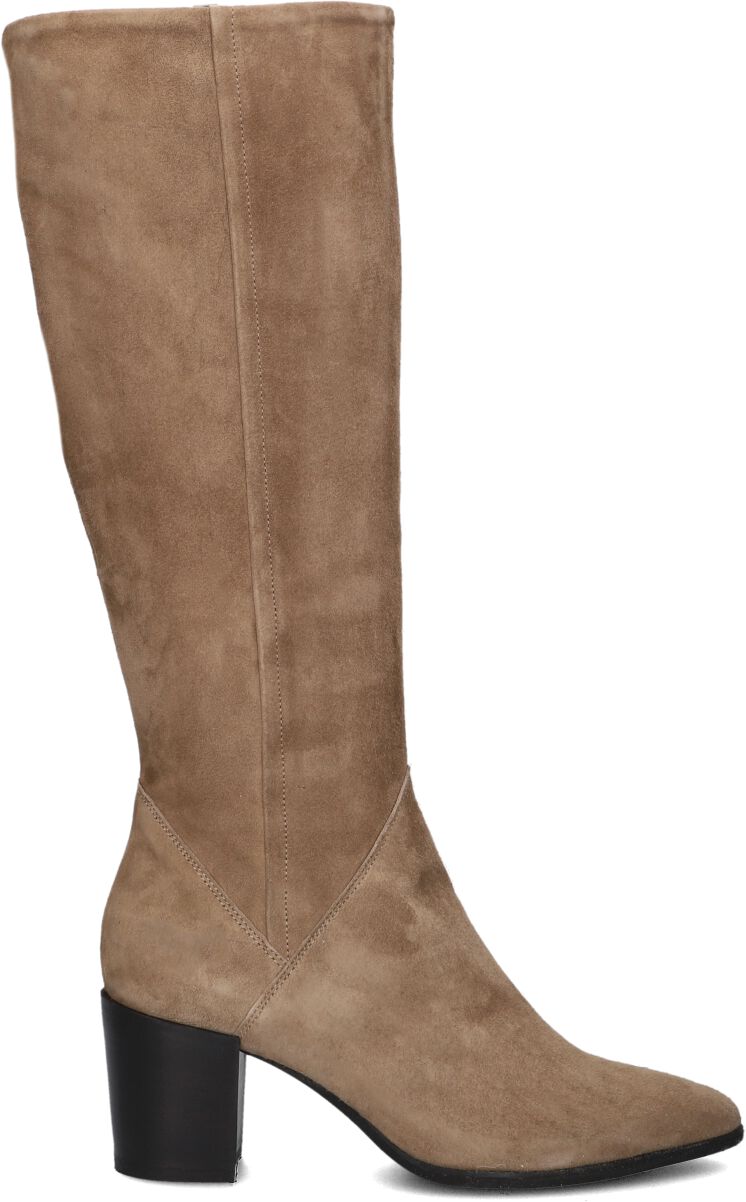 Lina Locchi Hoge Laarzen Dames Ar 70, Maat: 39, Materiaal: Suède, Kleur: Taupe