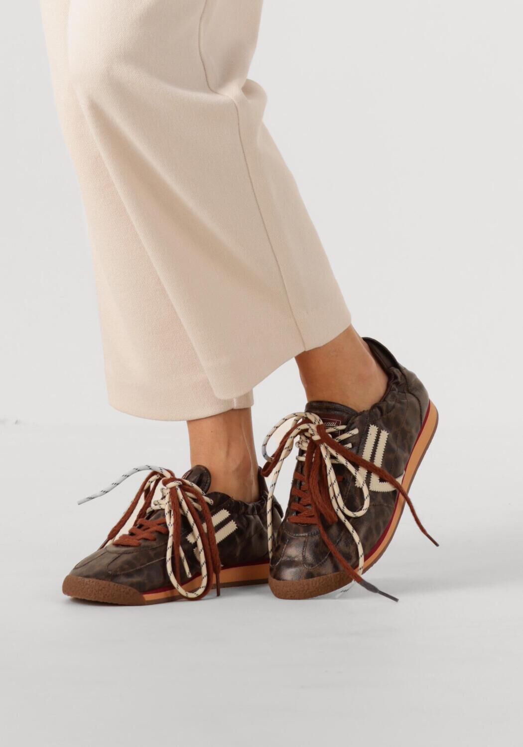 Bruine PURAAI Lage sneakers 6.02 PANTHER - large