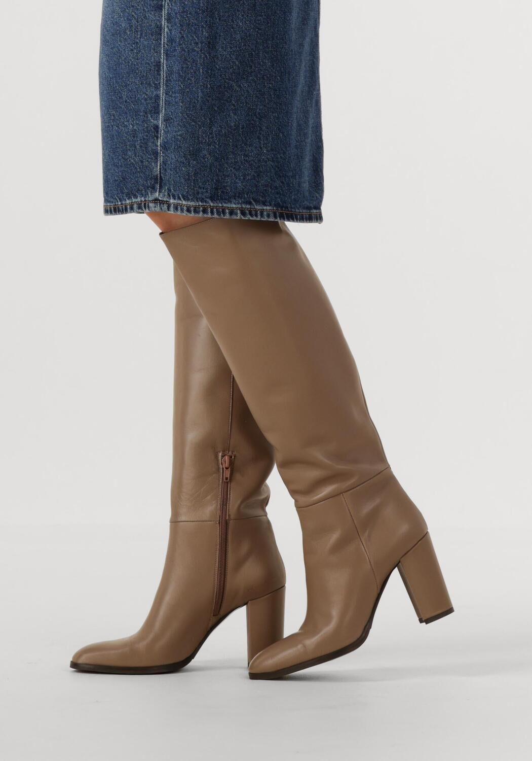 Taupe LINA LOCCHI Hoge laarzen AT 161 - large