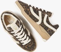 Groene VIA VAI Lage sneakers SAM SADIE Groene VIA VAI Lage sneakers SAM SADIE - medium