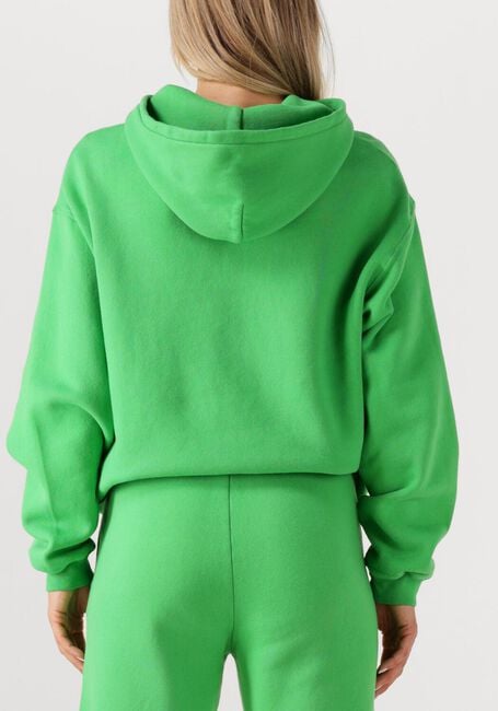 Groene AMERICAN VINTAGE Trui IZUBIRD S - large