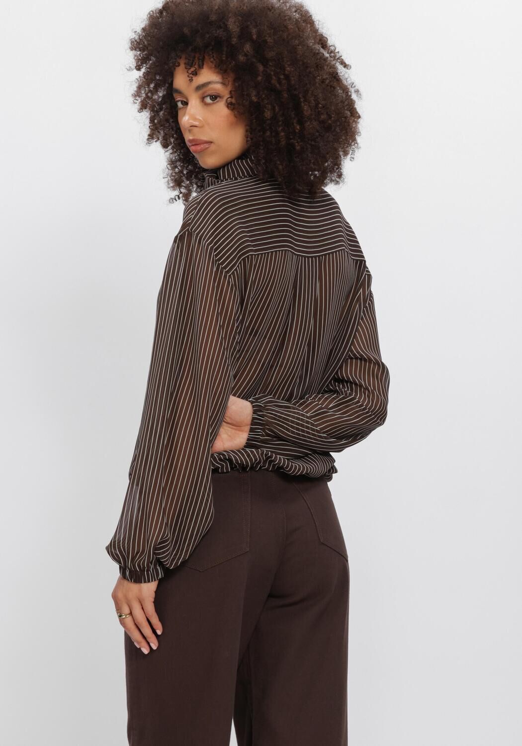 Bruine DANTE6 Blouses SHAPIRO PINSTRIPE BLOUSE - large