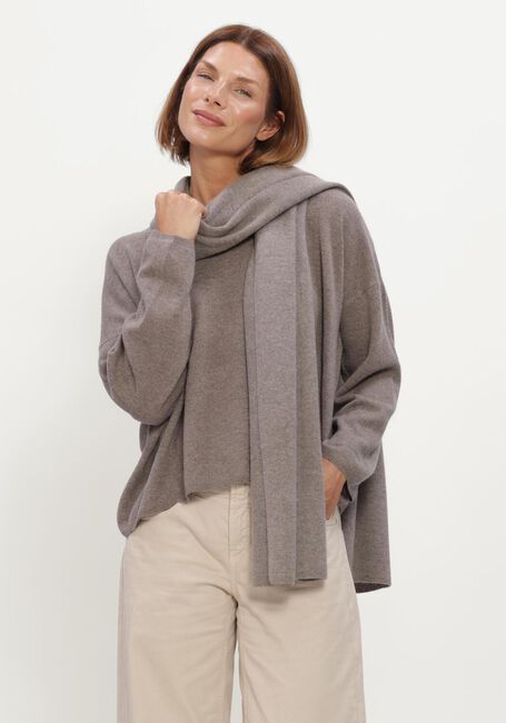 Taupe FFC Trui PULLOVER NEO - large