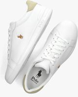 Witte POLO RALPH LAUREN Lage sneakers HRT COURT - medium