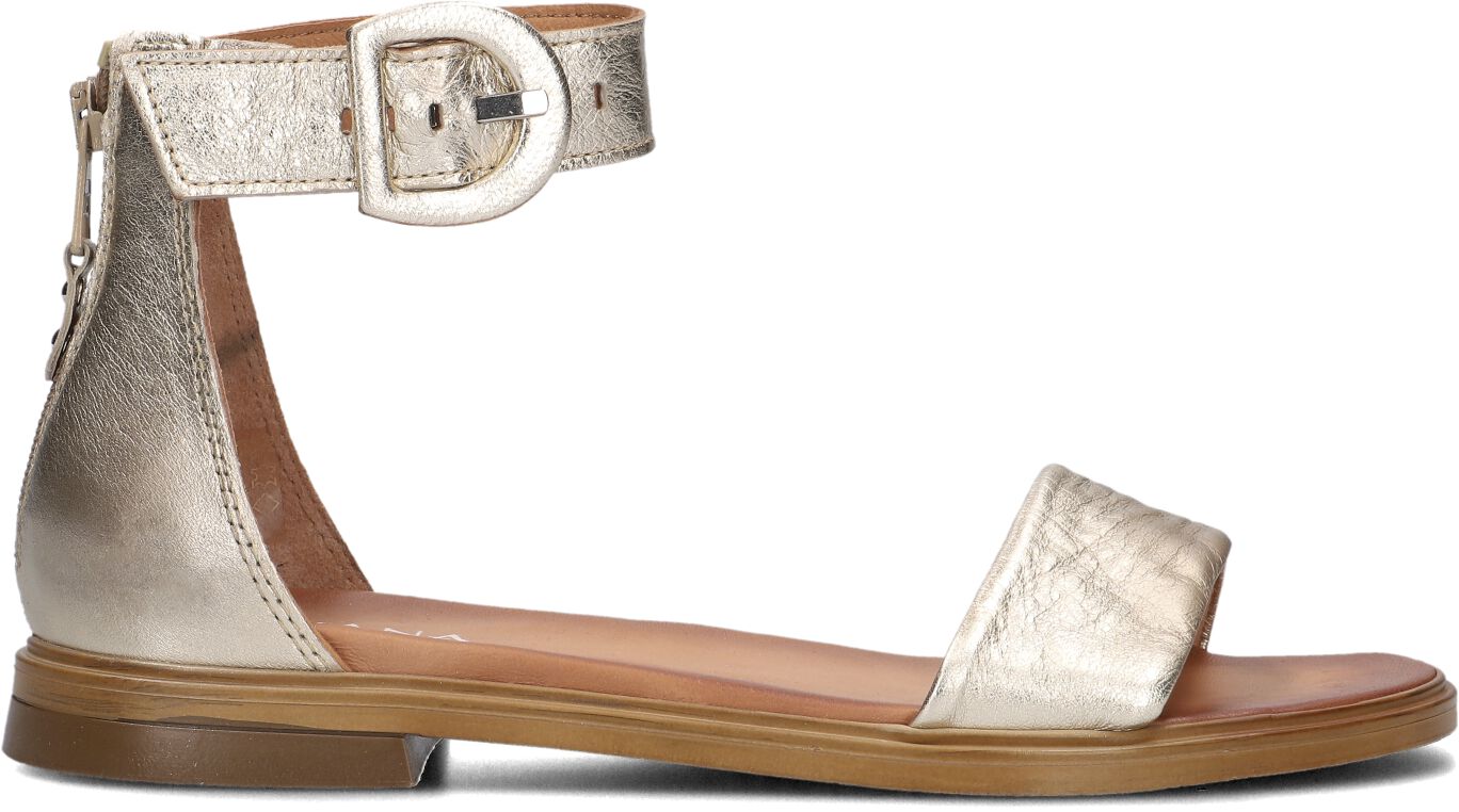 Ayana Sandalen
Dames M05060, Maat: 40, Kleur: Goud