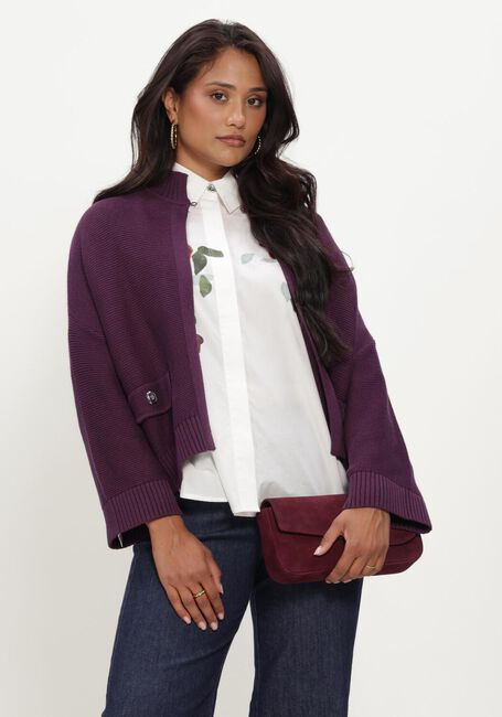 Paarse CAROLINE BISS Trui 4203 - large