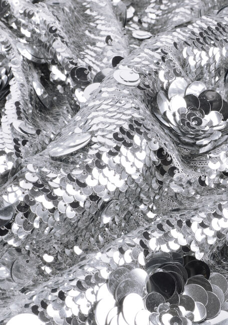 Zilveren RIANI Midirok 634490-8383 - large