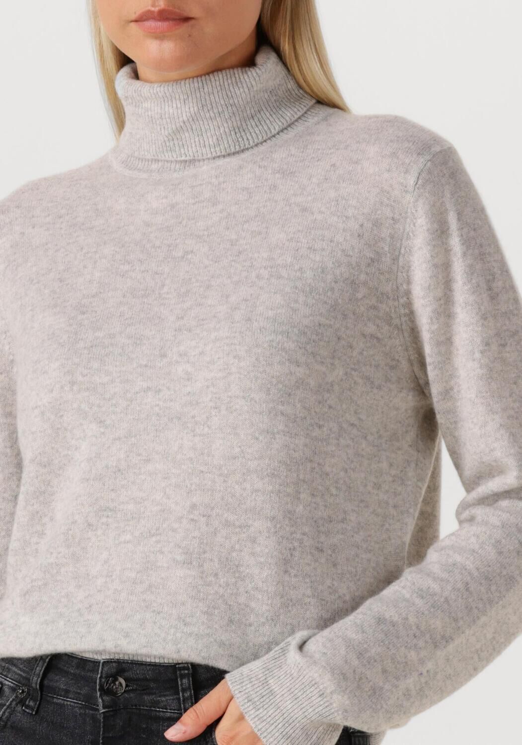 Grijze ABSOLUT CASHMERE Trui THEMYS - large