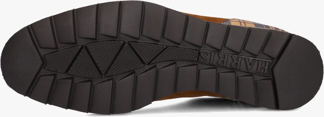 Cognac HARRIS Lage sneakers 2817 Cognac HARRIS Lage sneakers 2817 - large