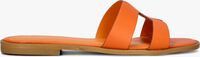 Oranje STEFANO LAURAN Slippers 22622 Oranje STEFANO LAURAN Slippers 22622 - medium