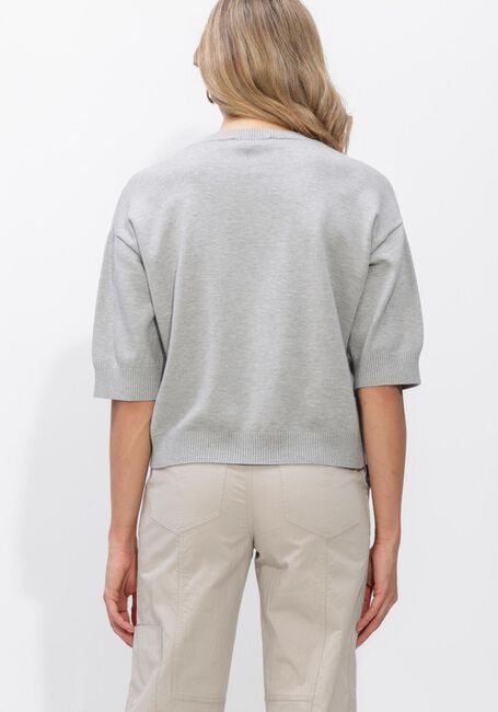 Grijze STUDIO AR Trui ISIDRE VISCOSE KNIT - large