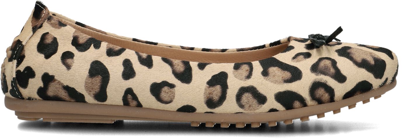 Ayana Ballerina
Dames 1261, Maat: 35, Materiaal: Ponyhair, Kleur: Beige