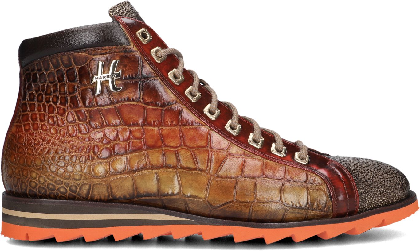 Harris Hoge Sneakers Heren 0721, Maat: 43,5, Materiaal: Leer, Kleur: Bruin afbeelding