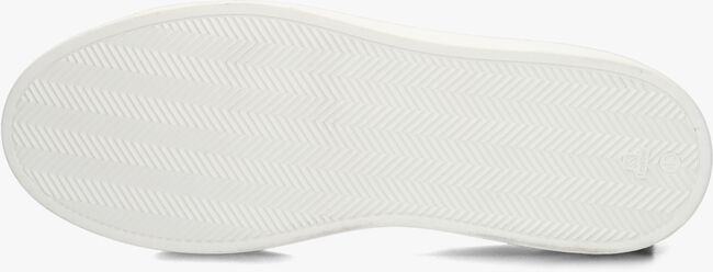 Witte STEFANO LAURAN Lage sneakers LJ2503 Witte STEFANO LAURAN Lage sneakers LJ2503 - large
