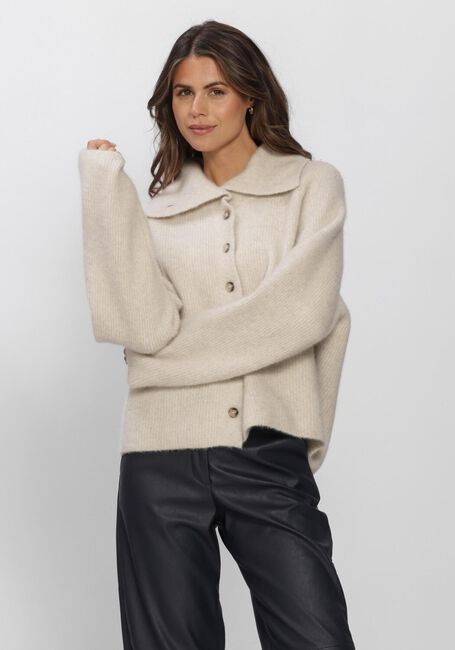Beige KNIT-TED Vest MILO CARDIGAN - large