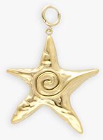 Goudkleurig BONNIE STUDIOS Bedels GOLD STAR PENDANT Goudkleurig BONNIE STUDIOS Bedels GOLD STAR PENDANT - medium