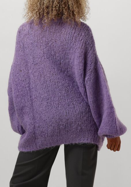 Lila AMERICAN DREAMS Coltrui PEPPER ROLL NECK ALPACA PULLOVER - large