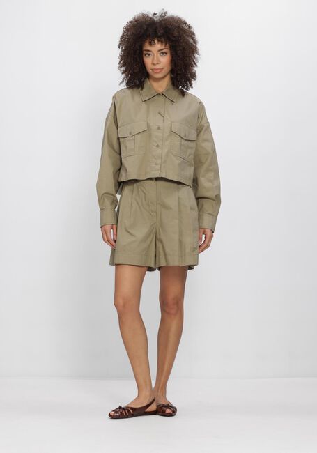 Olijf MAX MARA Broeken SHORT - large