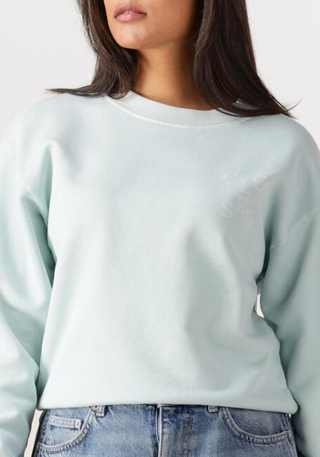 Lichtblauwe CLOSED Sweater PRINTED SWEATSHIRT - large