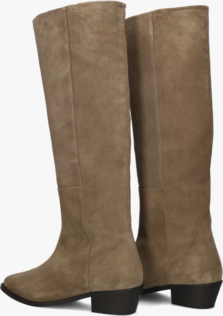 TORAL 12777 TORAL 12777 - large