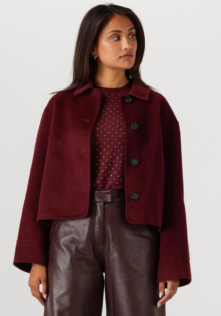 Bordeaux STUDIO AR Teddy jas NICOLINA - large