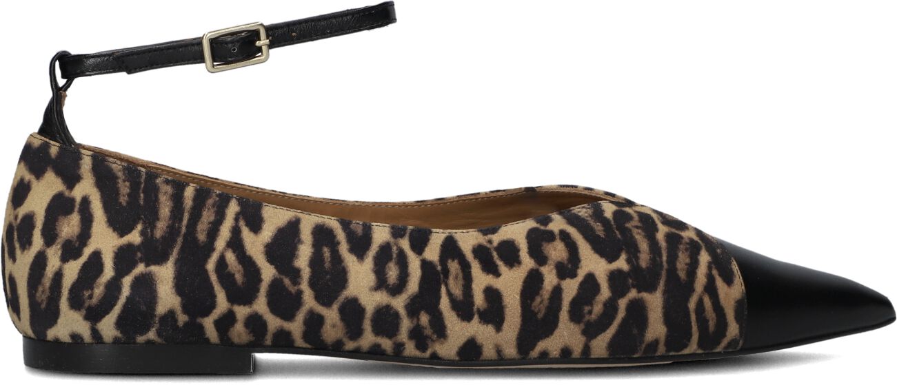 Toral Ballerina
Dames Cristelle, Maat: 37, Materiaal: Suède, Kleur: Bruin afbeelding 1