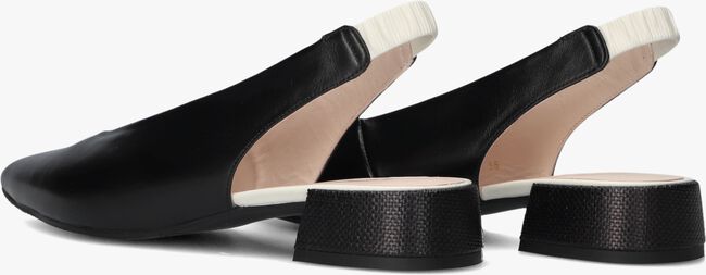 LODI AMARIE LODI AMARIE - large