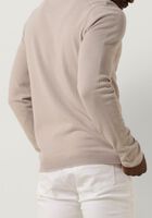 SAINT STEVE SANDER - medium