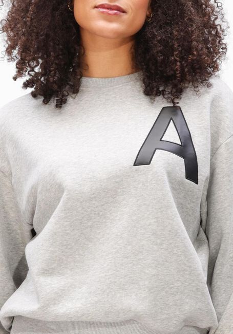 Grijze ALIX THE LABEL Sweater LADIES KNITTED LEATHER A SWEATER - large