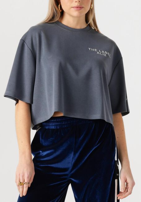 Grijze ALIX THE LABEL T-shirt LADIES KNITTED FLOWY CROPPED TSHIRT - large