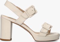 Witte LINA LOCCHI Sandalen AU 180 Witte LINA LOCCHI Sandalen AU 180 - medium