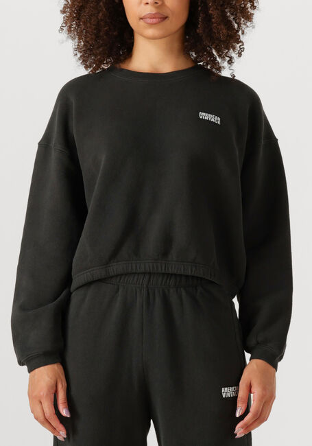 Donkergrijze AMERICAN VINTAGE Sweater IZUBIRD D - large