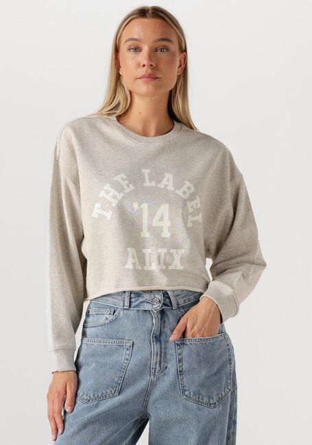 Lichtgrijze ALIX THE LABEL Trui LADIES KNITTED SOFT SWEATER - large
