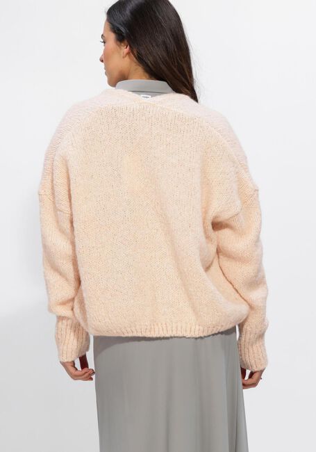 Roze KNIT-TED Vest BECKY - large