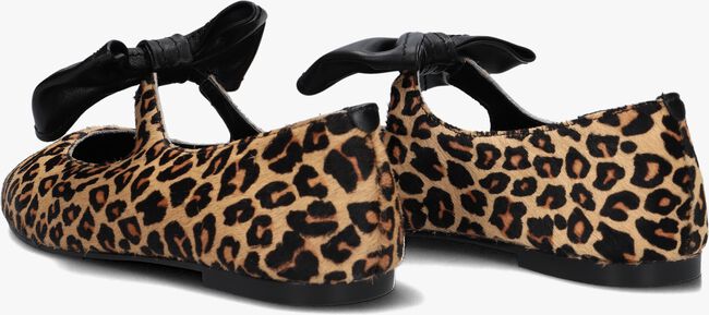 Bruine STEFANO LAURAN Ballerina's BAILARINA LAZO Bruine STEFANO LAURAN Ballerina's BAILARINA LAZO - large