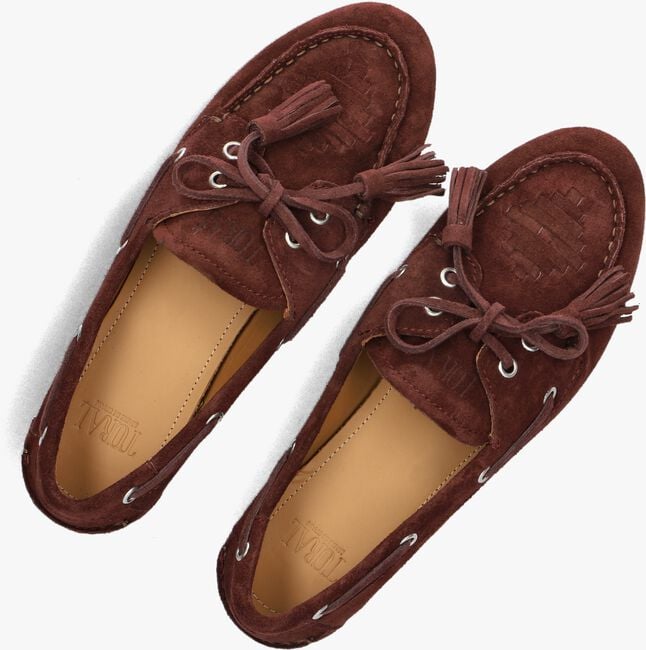 TORAL SHIMA TORAL SHIMA - large