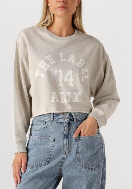 Lichtgrijze ALIX THE LABEL Trui LADIES KNITTED SOFT SWEATER - large