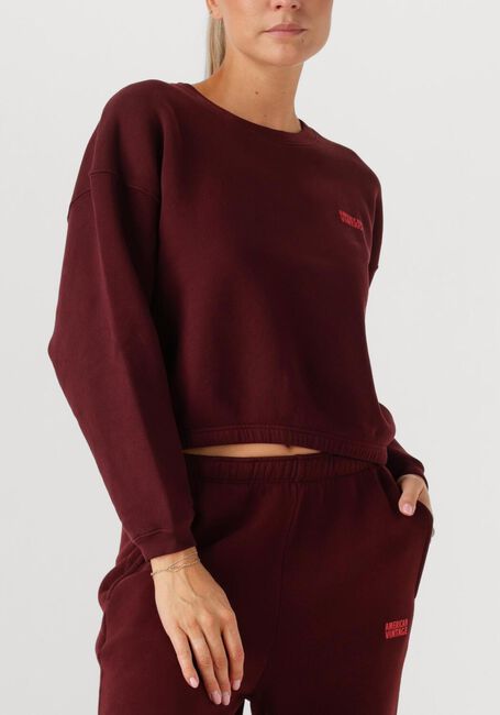 Bordeaux AMERICAN VINTAGE Sweater IZUBIRD - large