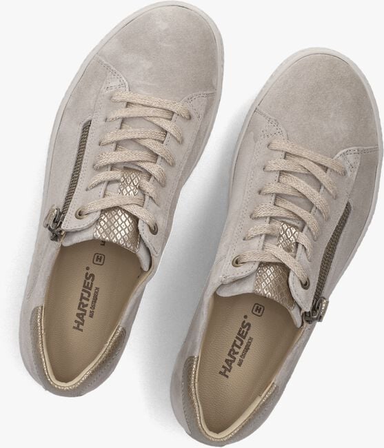 Grijze HARTJES Lage sneakers 162.1402 PHIL Grijze HARTJES Lage sneakers 162.1402 PHIL - large